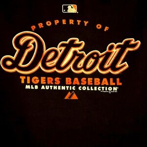 DETROIT TIGERS baseball tee